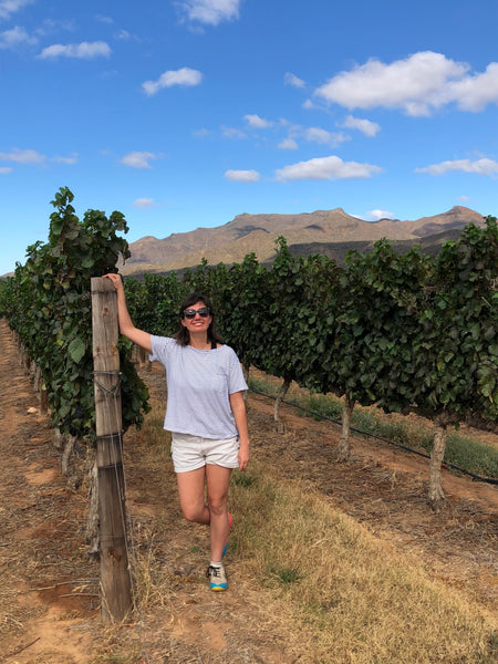 Experiencing Harvest 2020 at Graham Beck Winery
