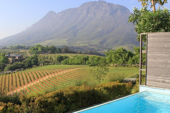 The 10 best wine farms to visit in 2024